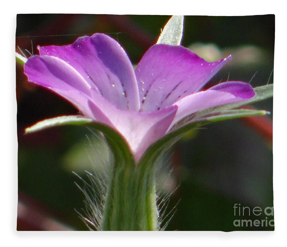Flower Fleece Blanket featuring the photograph A study in lilac by Karin Ravasio