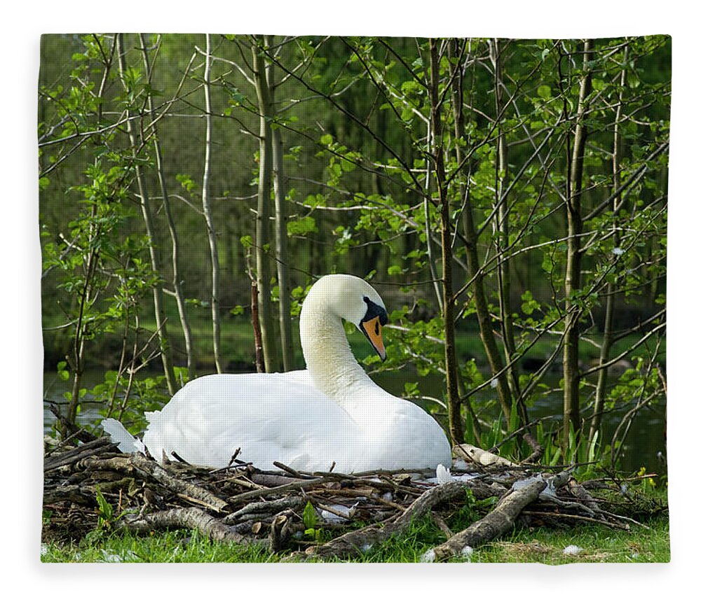 Grass Fleece Blanket featuring the photograph A Swan On Its Nest by Stephen D Harper