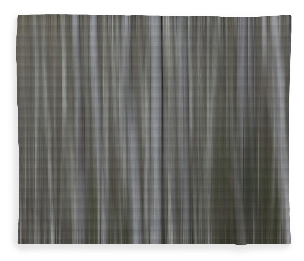 Trees Fleece Blanket featuring the photograph Abstract aspen trees by Julieta Belmont