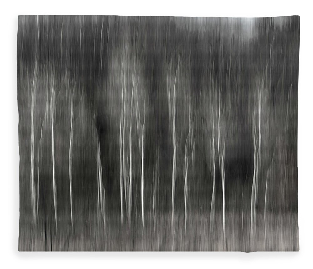 Abstract Fleece Blanket featuring the photograph Abstract of Birch At The Edge Of The Marsh 2018-2 by Thomas Young