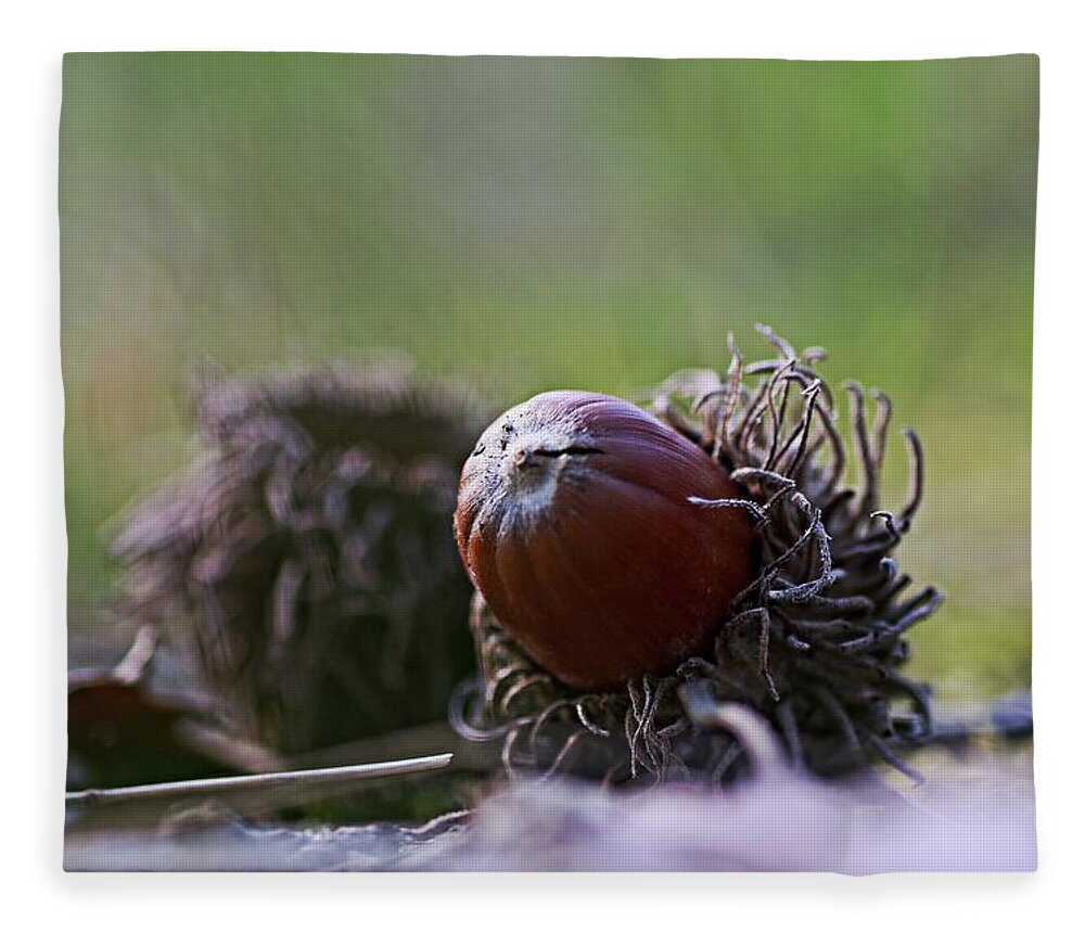 Acorn Fleece Blanket featuring the photograph Acorn close up by Martin Smith