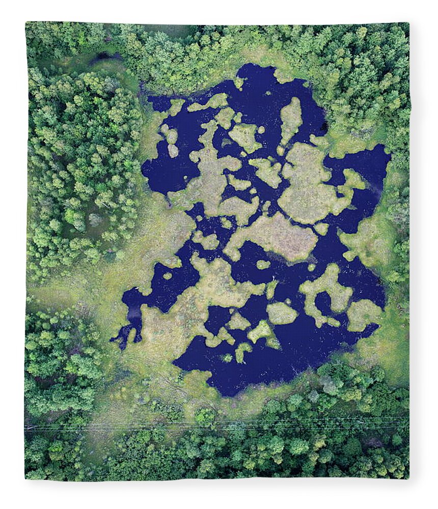 Fen Fleece Blanket featuring the photograph Aerial Photo Of A Swamp. Spring by Dariuszpa