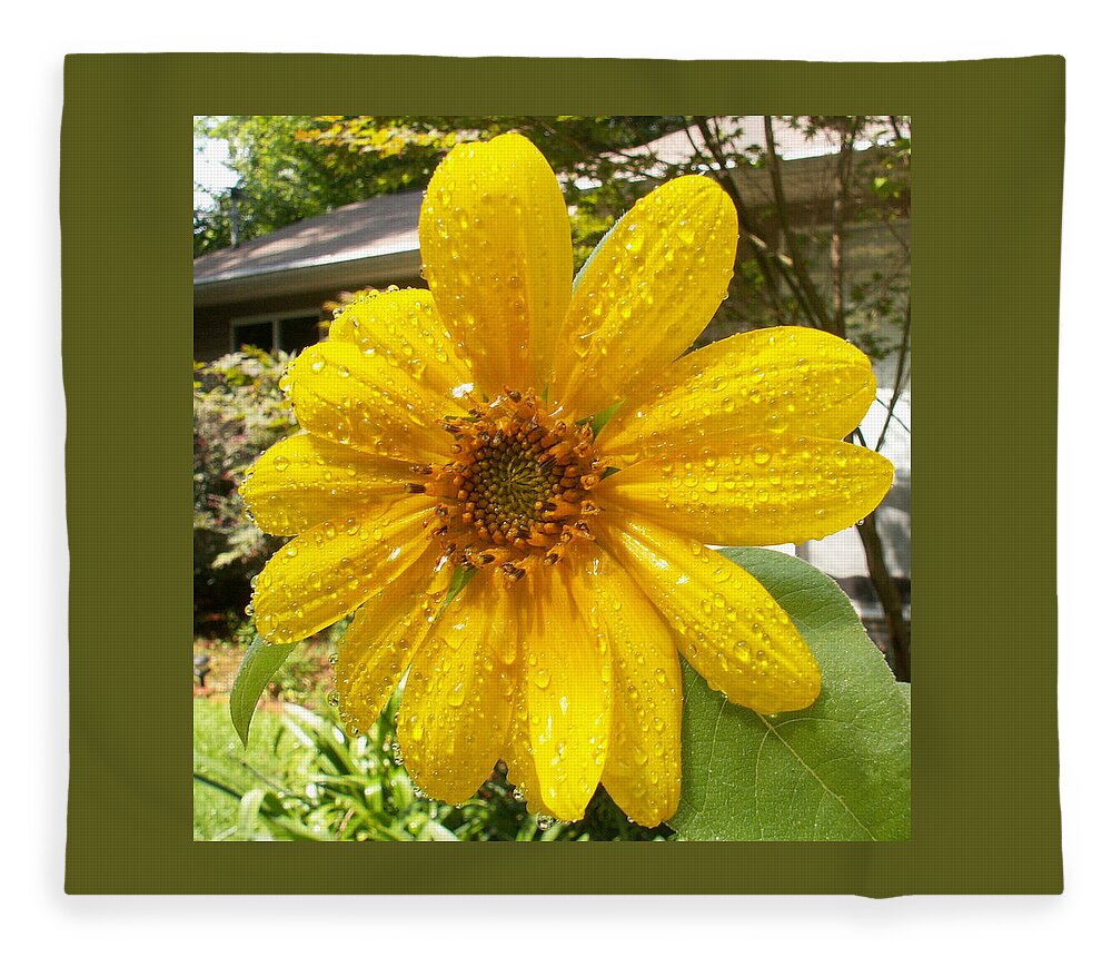 Flowers Fleece Blanket featuring the photograph After the Rain by Karen Stansberry