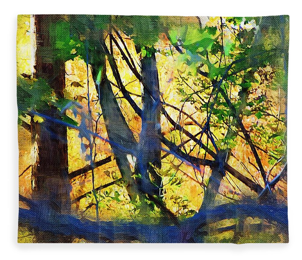 Trees Fleece Blanket featuring the mixed media Afternoon in the Woods by Christopher Reed