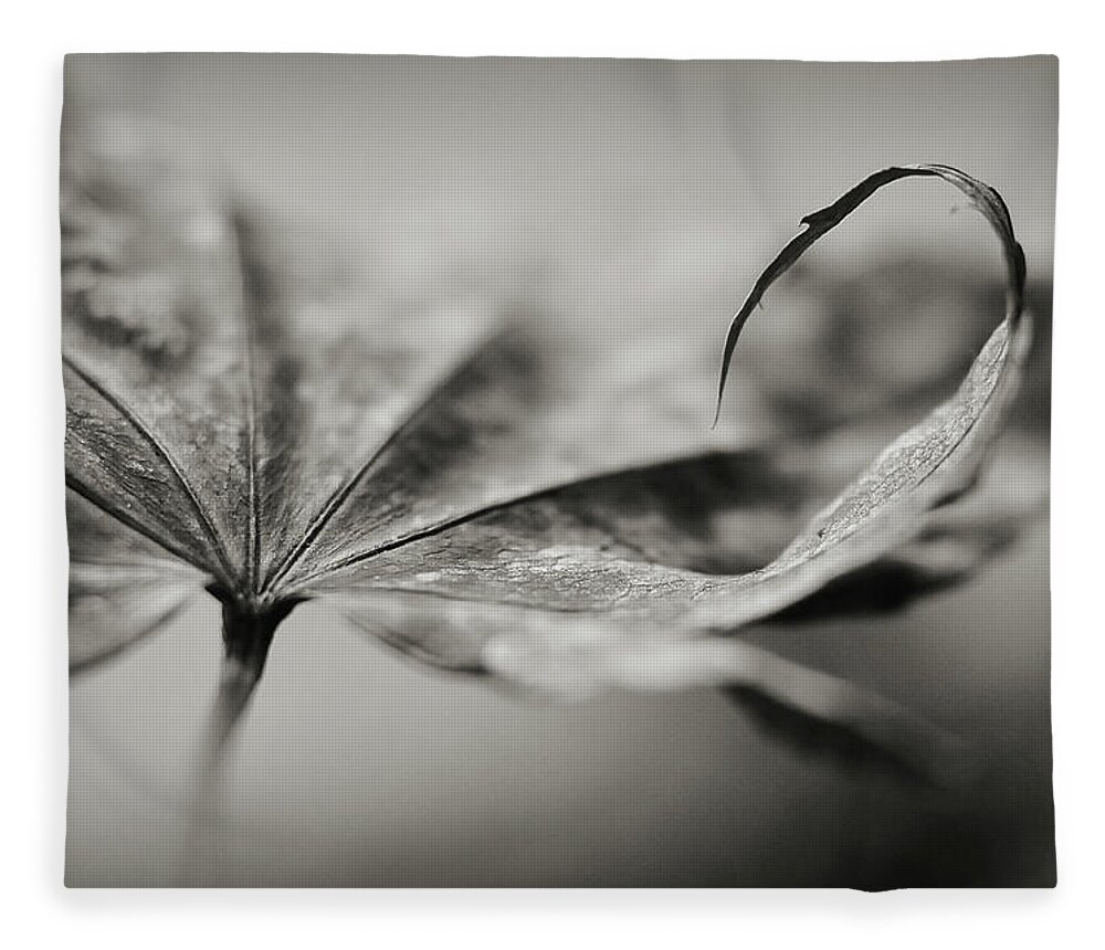 Black And White Fleece Blanket featuring the photograph All In by Michelle Wermuth