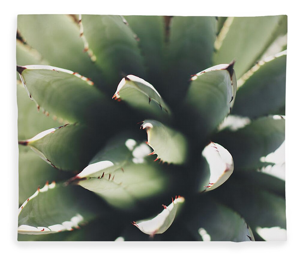 Sharp Fleece Blanket featuring the photograph Aloe Vera At The Desert Botanical Garden by Barry Duncan