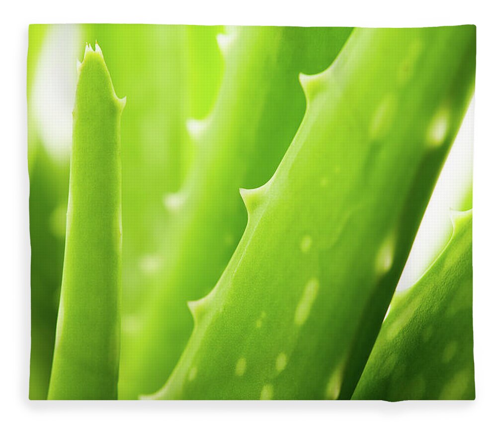 Saturated Color Fleece Blanket featuring the photograph Aloe Vera by Goldmund