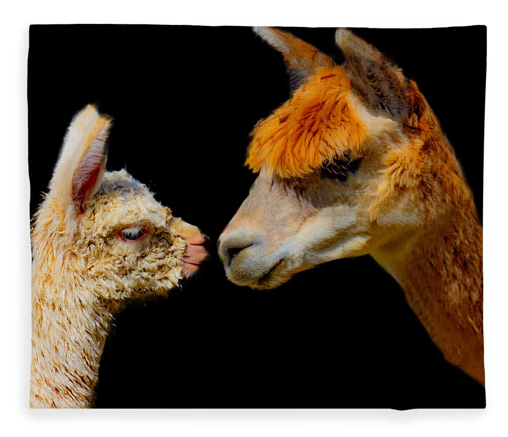 Alpaca Fleece Blanket featuring the photograph Alpaca Reunion by Jonny D