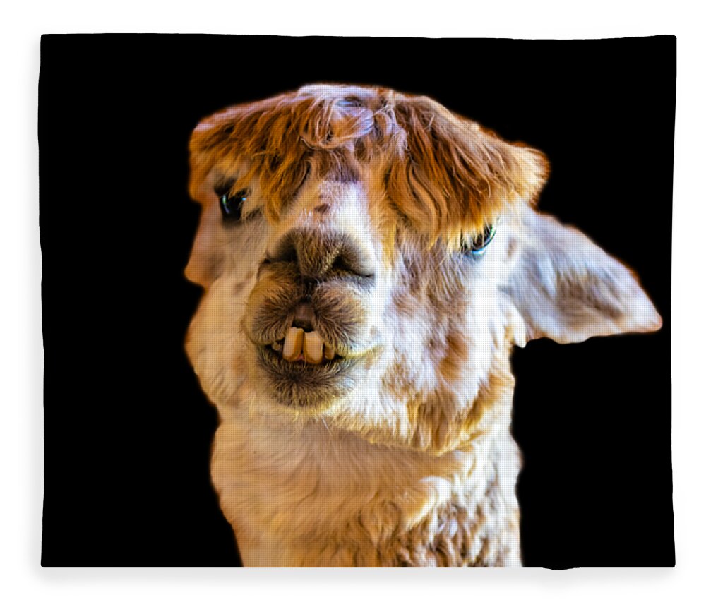 Alpaca Fleece Blanket featuring the photograph Alpaca What by Jonny D