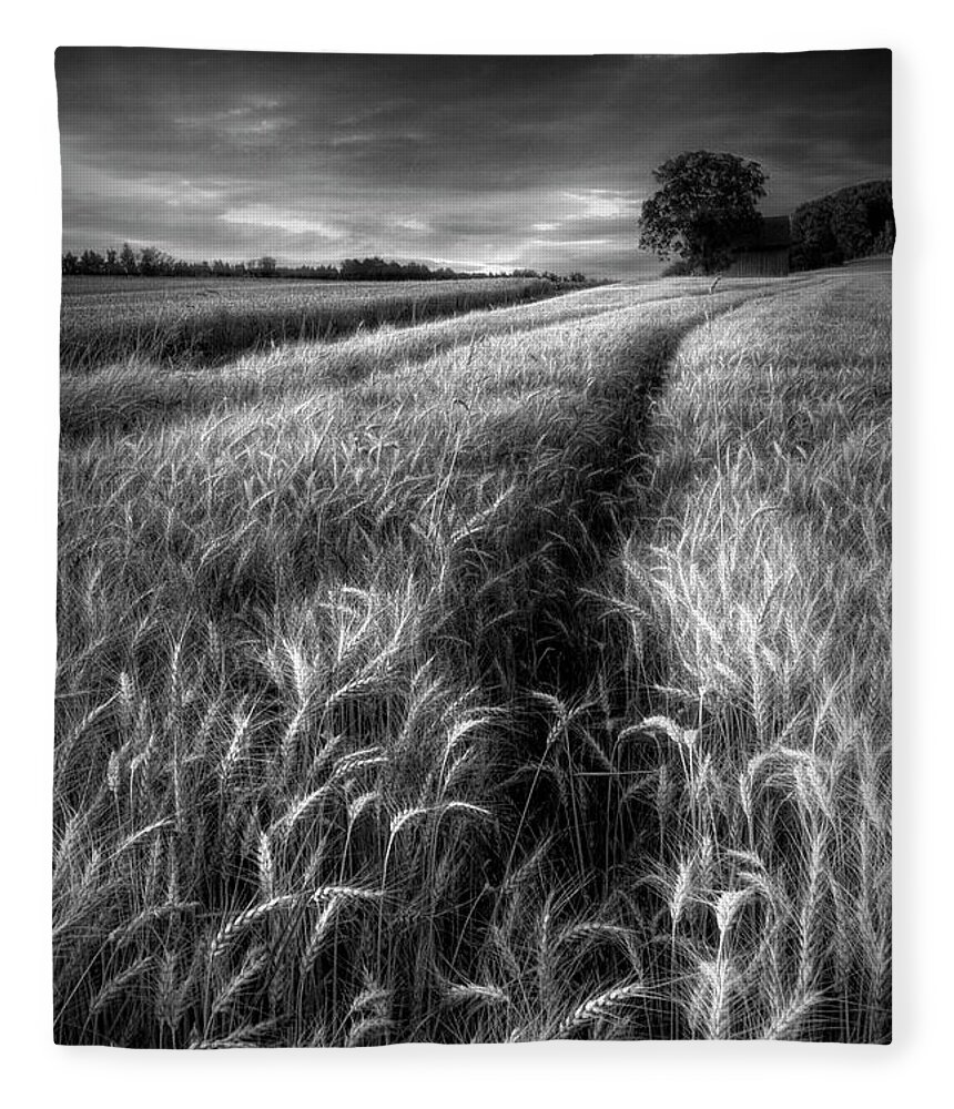 Austria Fleece Blanket featuring the photograph Amber Waves of Grain in Black and White by Debra and Dave Vanderlaan