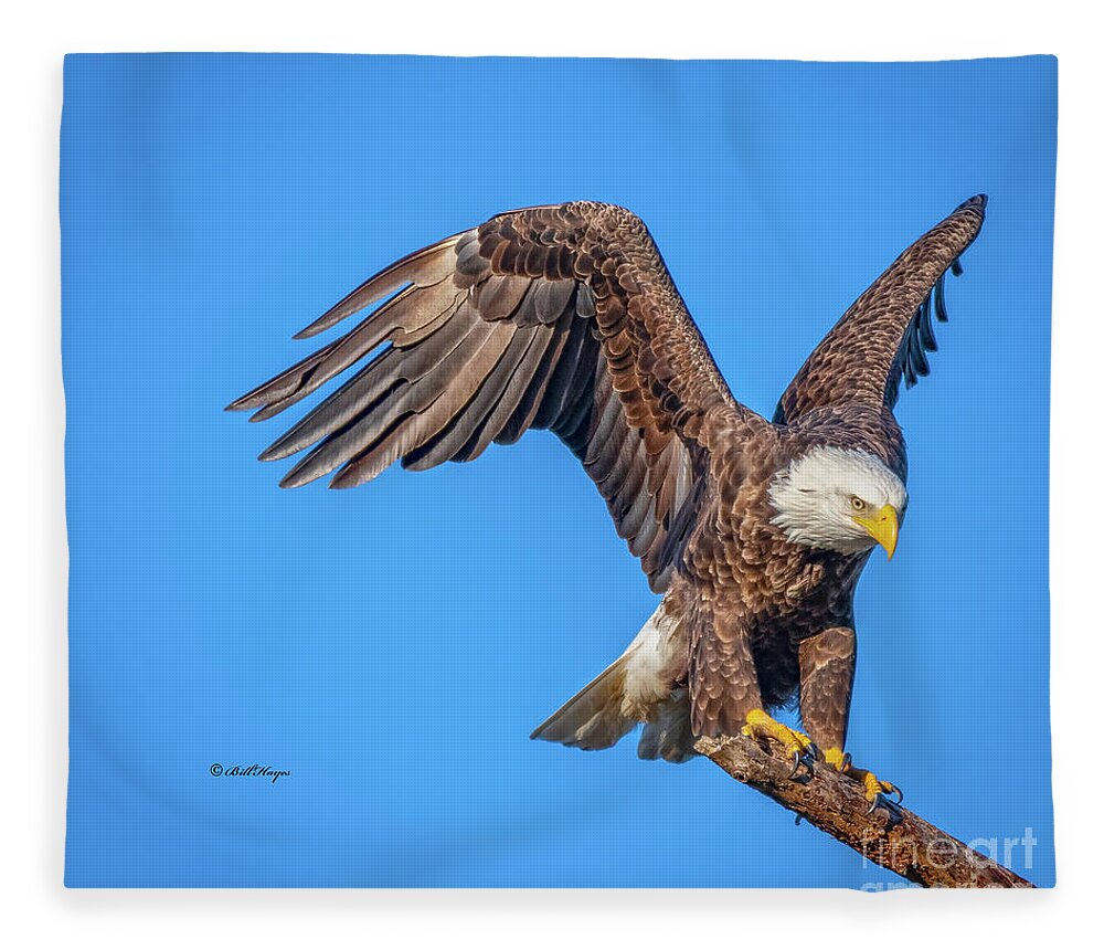 Eagles Fleece Blanket featuring the photograph American Bald Eagle Incoming by DB Hayes