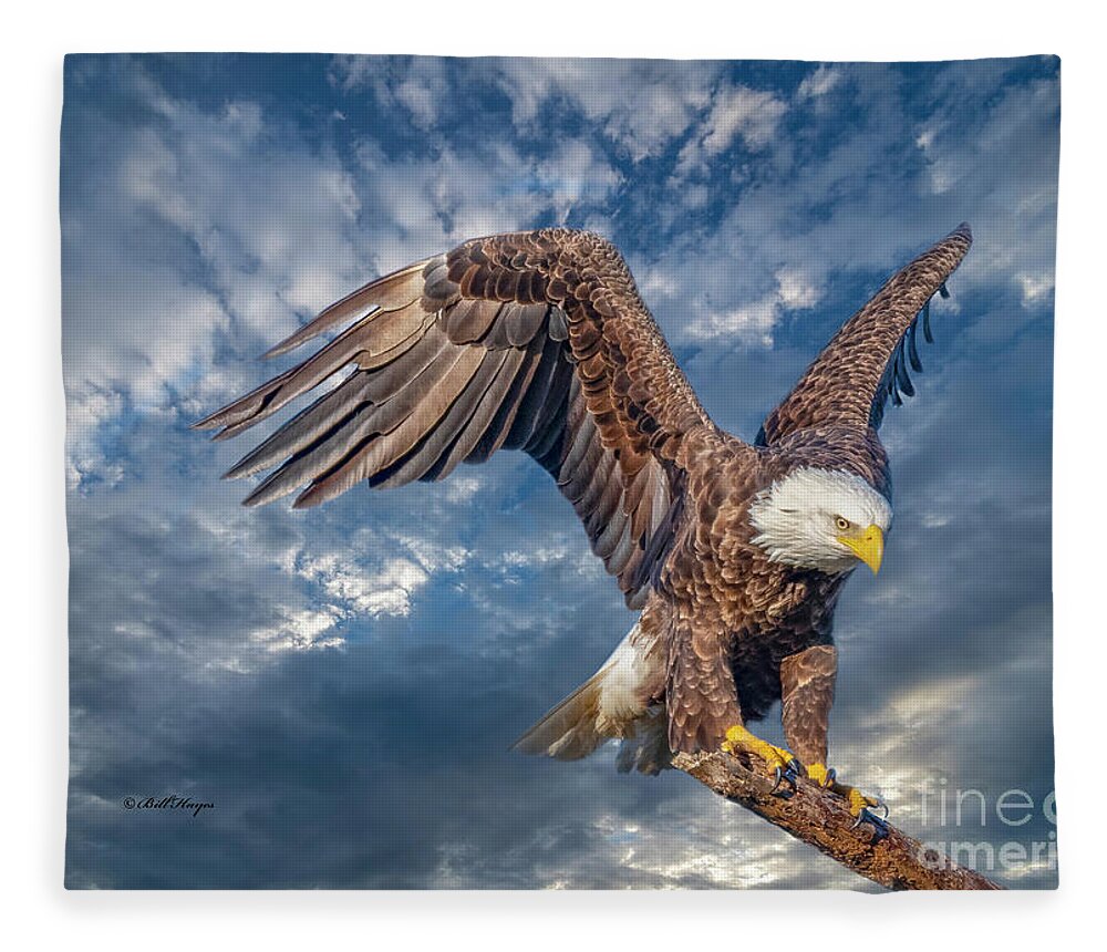 Eagles Fleece Blanket featuring the photograph American Bald Eagle Incoming TWO by DB Hayes