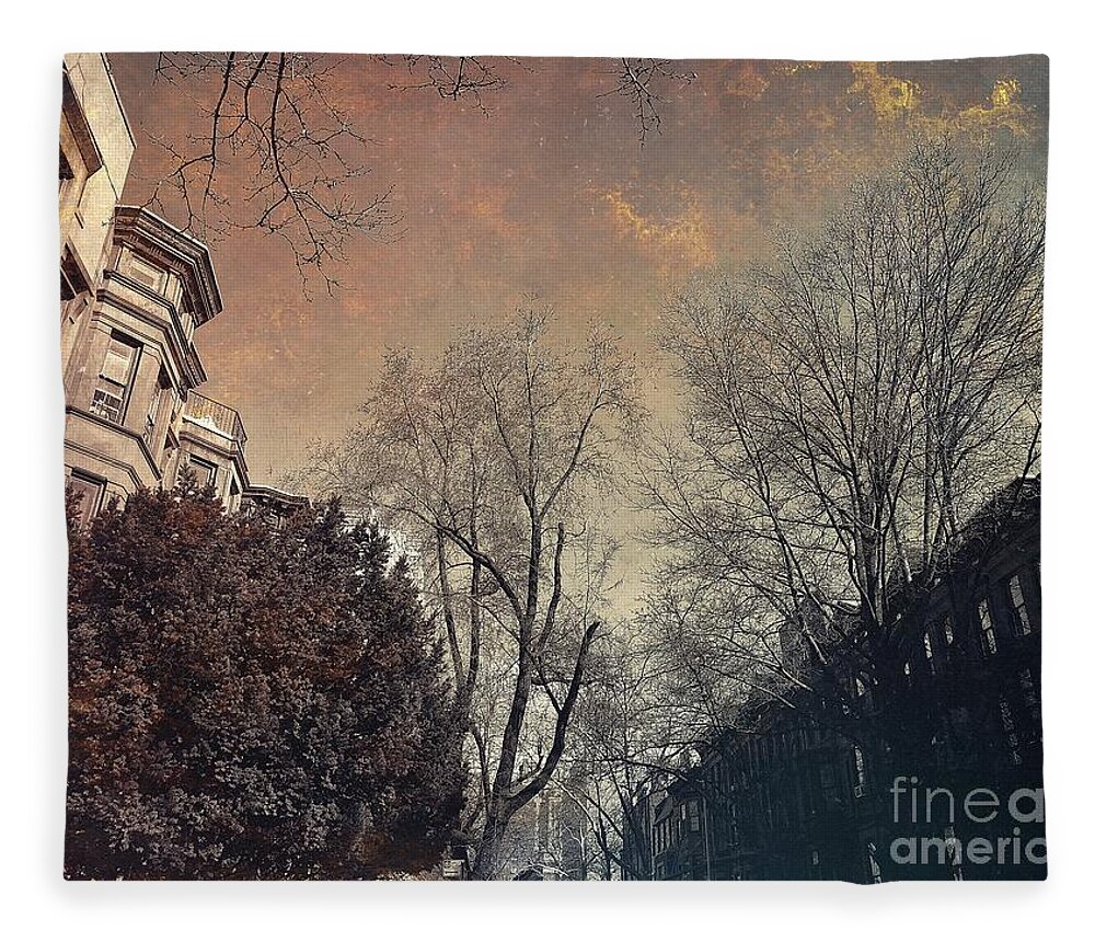 Brooklyn Fleece Blanket featuring the photograph Among the Brownstones - Gift for New Yorkers by Onedayoneimage Photography