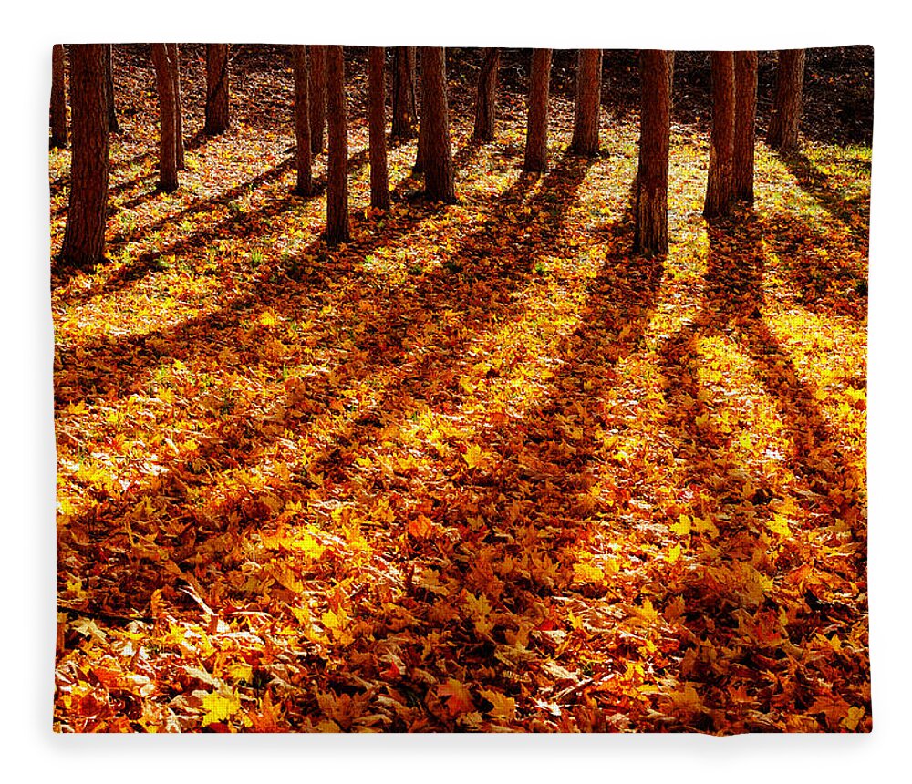 Tree Fleece Blanket featuring the photograph An Autumn Morning Begins by Luke Moore