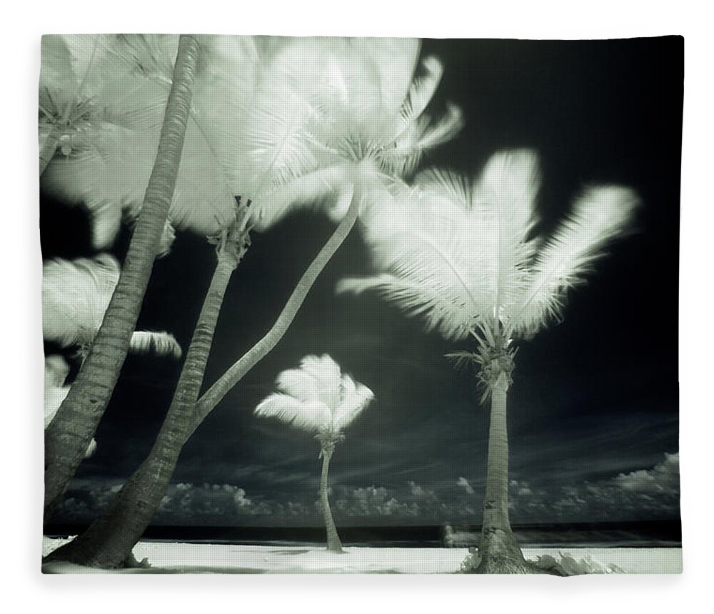 Wind Fleece Blanket featuring the photograph An Infrared Image Of Tall Palm Trees by Mint Images/ Art Wolfe