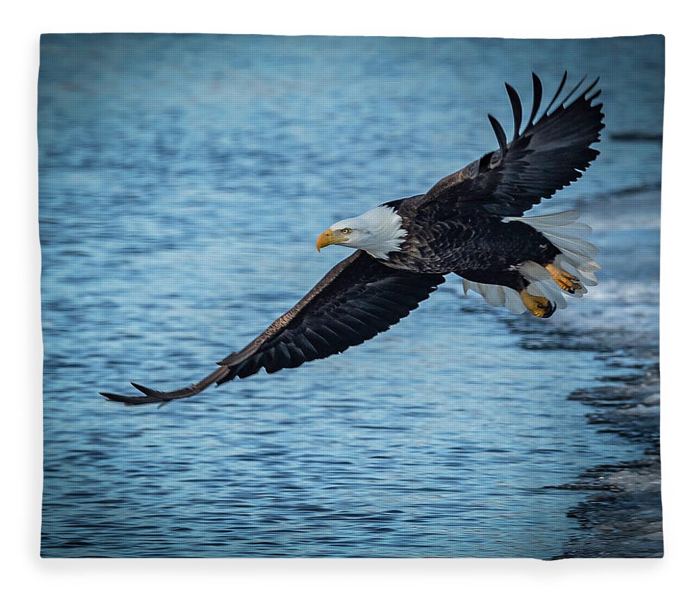 Eagle Fleece Blanket featuring the photograph And Away We Go by Laura Hedien