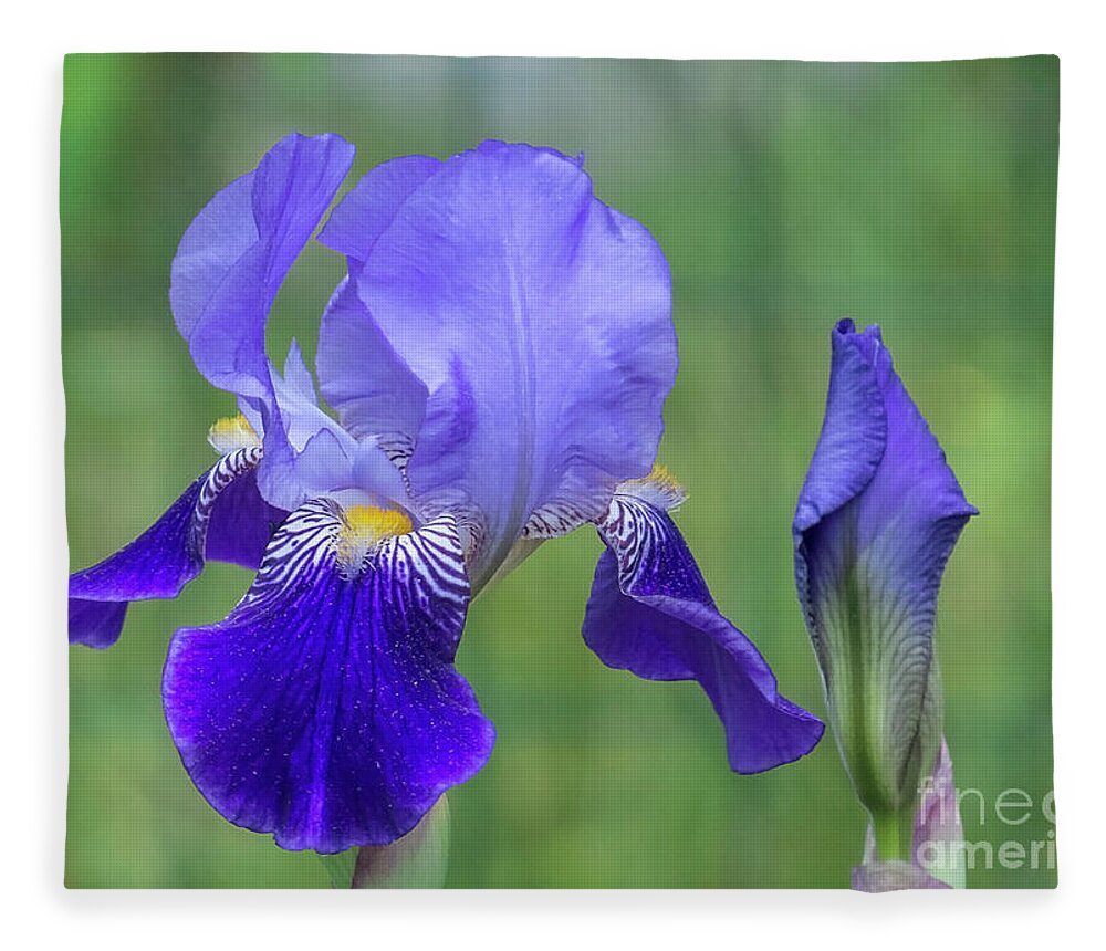 Flora Fleece Blanket featuring the photograph Angie's Iris II by Lili Feinstein