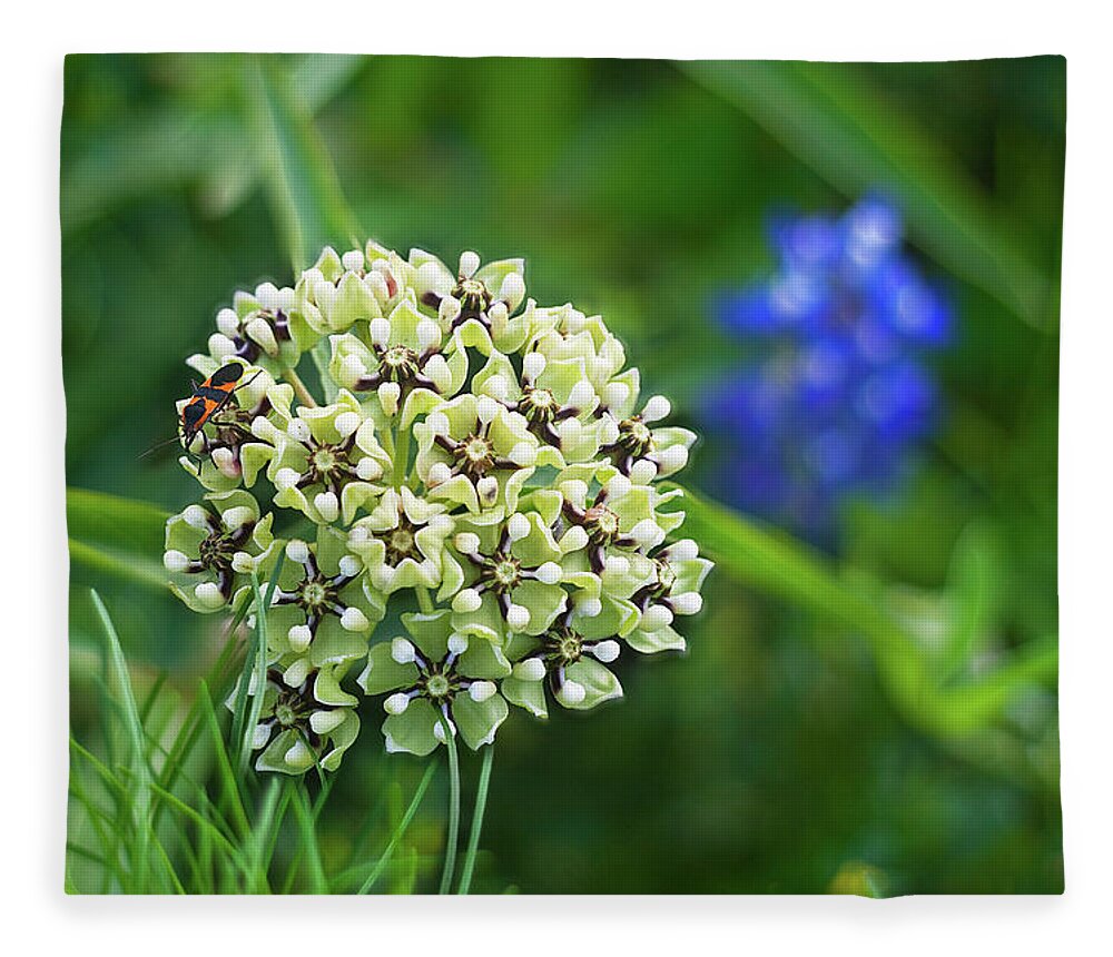 Insect Fleece Blanket featuring the photograph Antelope Horn Wildflower And Milkweed by Kathy Van Torne