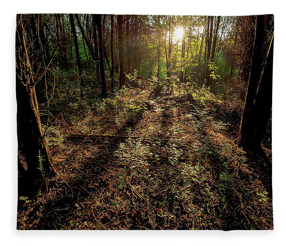 Nature Fleece Blanket featuring the photograph Appalachia Morning by Scott Cordell