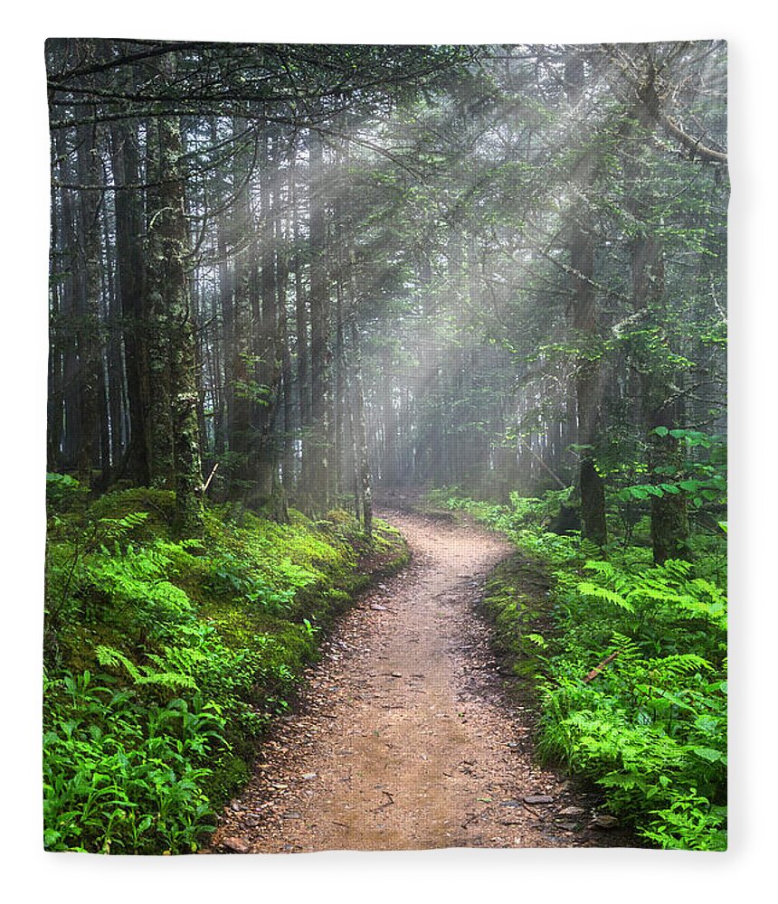 Appalachia Fleece Blanket featuring the photograph Appalachian Trail by Mount LeConte by Debra and Dave Vanderlaan