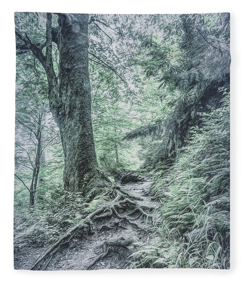 Appalachia Fleece Blanket featuring the photograph Appalachian Trail in Cool Gray Tones by Debra and Dave Vanderlaan