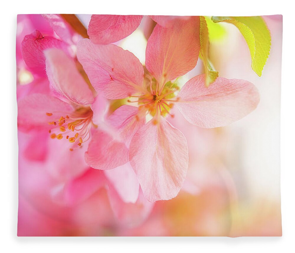 Nature Fleece Blanket featuring the photograph Apple Blossoms Bright Glow by Leland D Howard