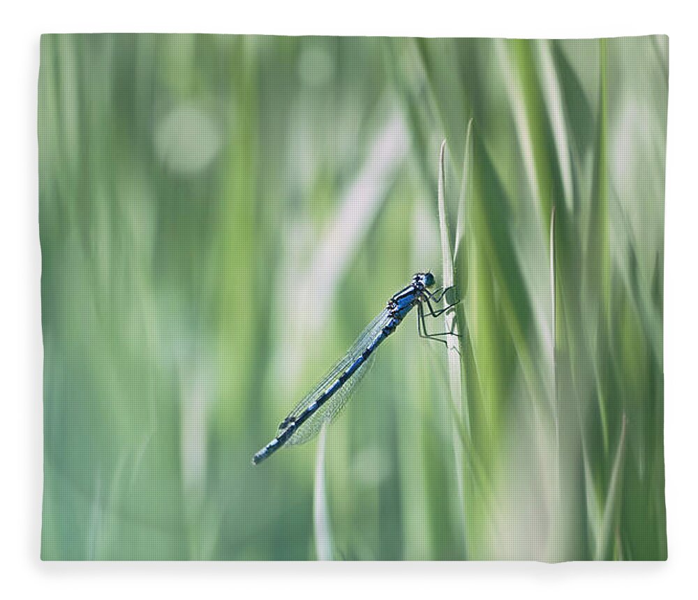 Dragonfly Fleece Blanket featuring the photograph Around The Meadow 8 by Jaroslav Buna
