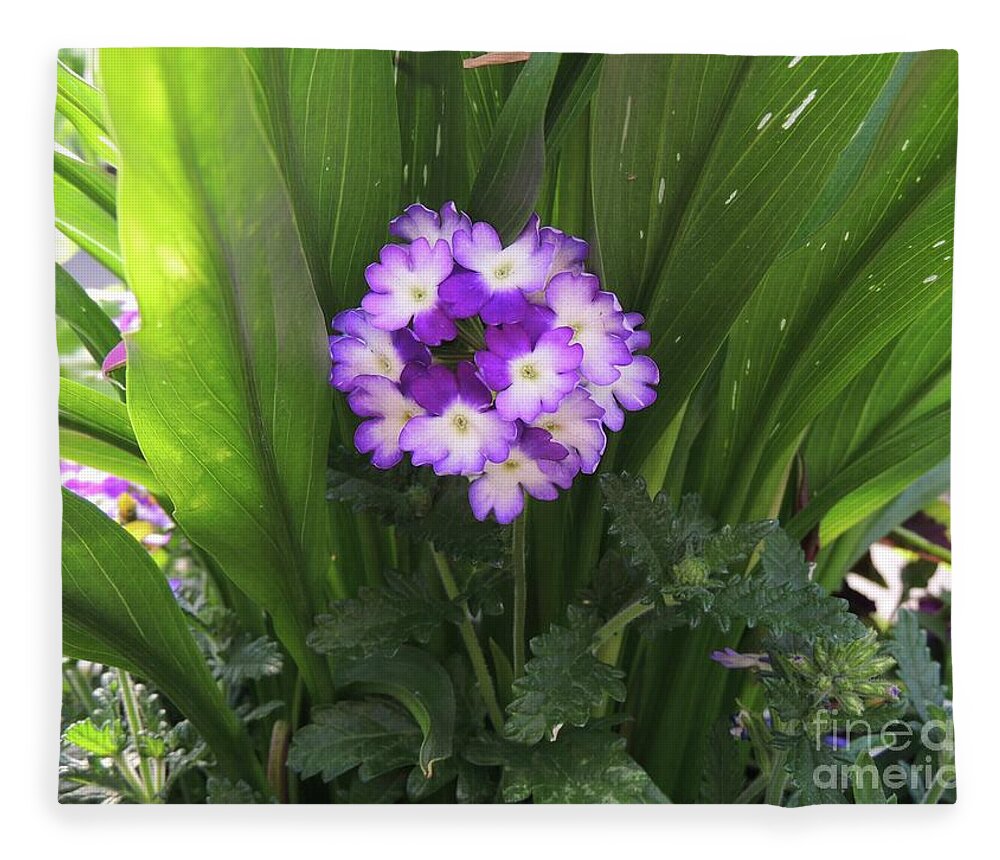 Flower Fleece Blanket featuring the photograph Around We Go by Julie Rauscher
