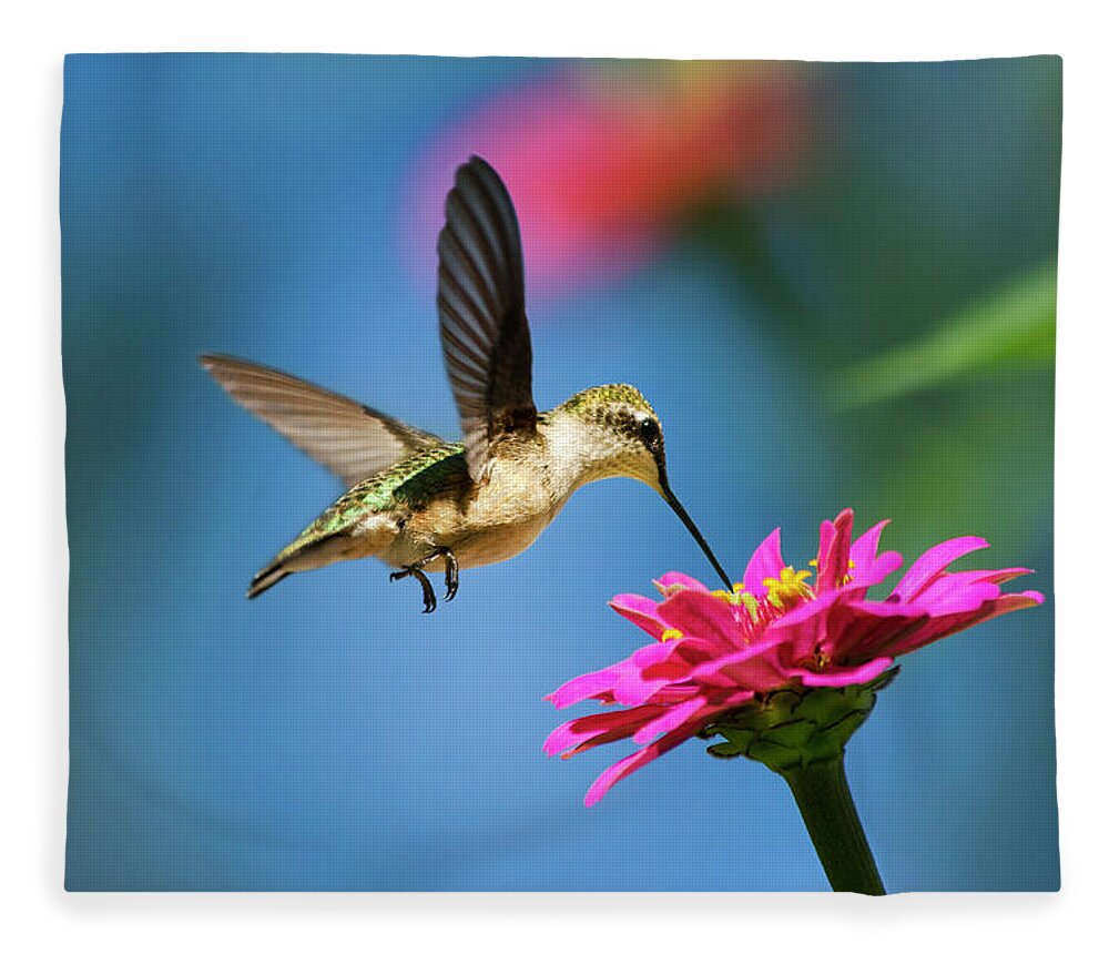 Hummingbird Fleece Blanket featuring the photograph Art of Hummingbird Flight by Christina Rollo