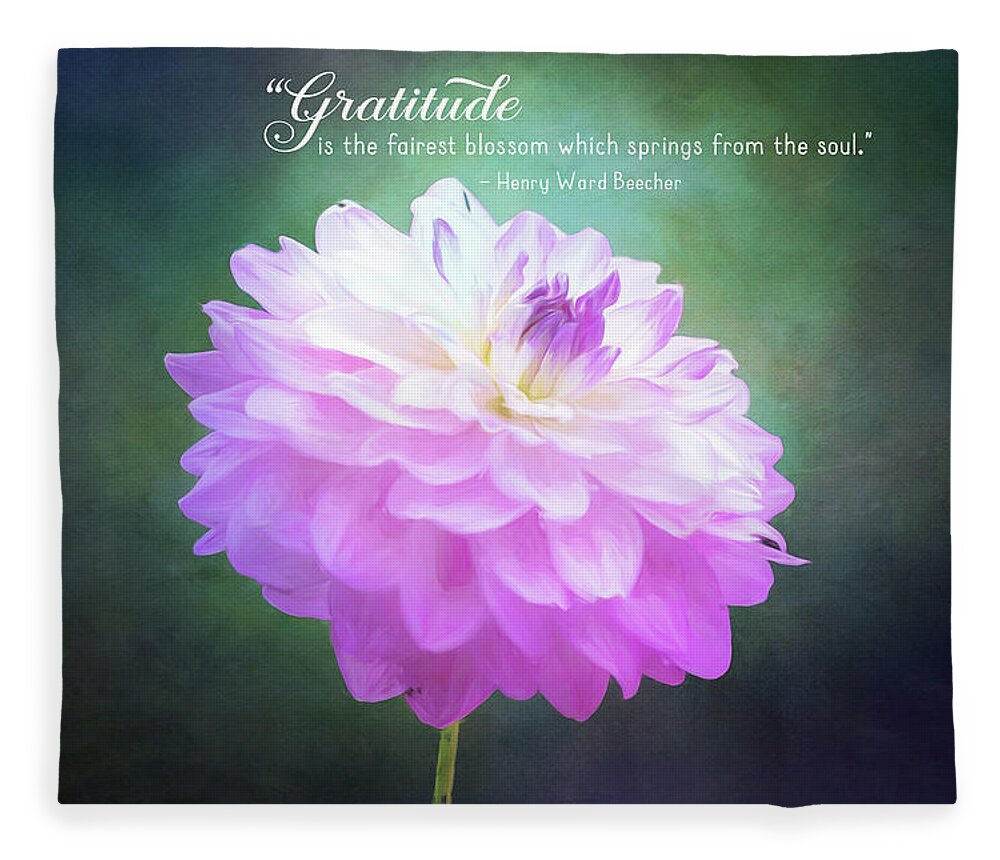 Dahlia Fleece Blanket featuring the photograph Pink Dahlia Gratitude Artwork by Anita Pollak