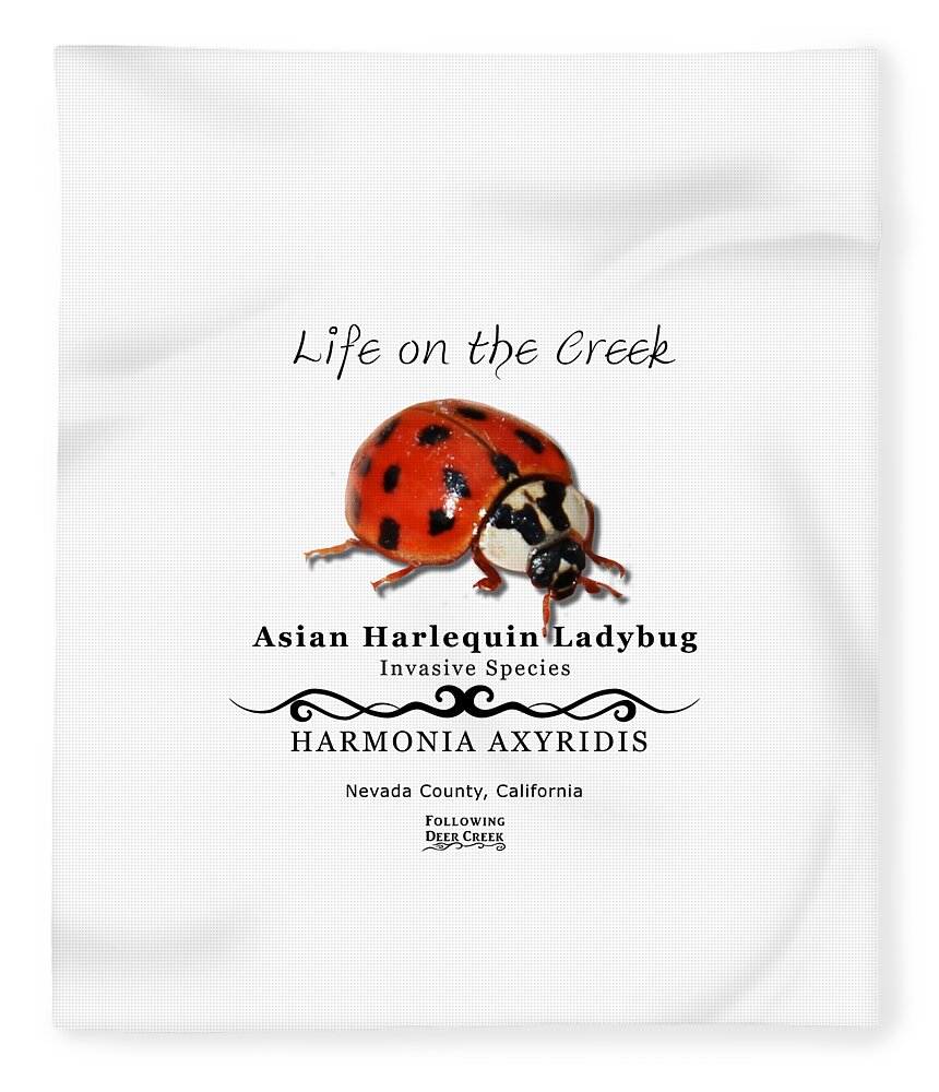 Ladybug Fleece Blanket featuring the digital art Asian Harlequin Ladybug by Lisa Redfern