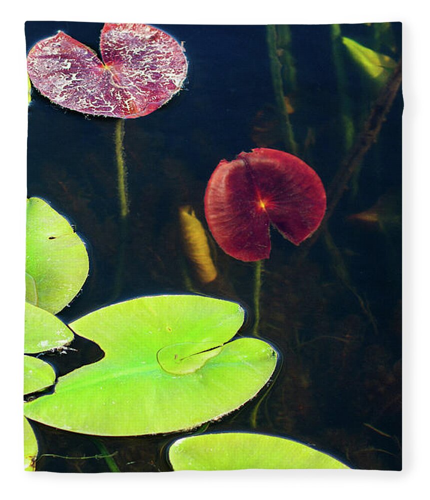 Assorted Lily Leaves Fleece Blanket featuring the photograph Assorted Water Lily Leaves by James Canning