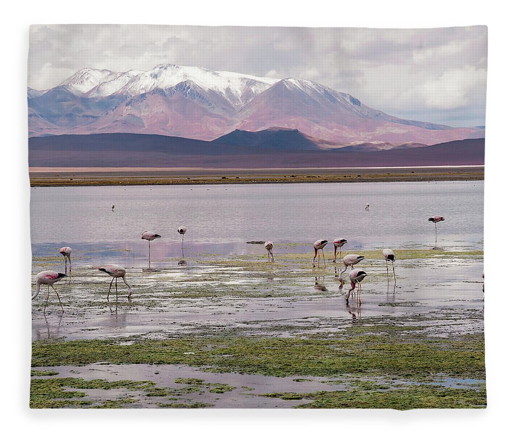Atacama Fleece Blanket featuring the photograph Atacoma landscape by Minnie Gallman