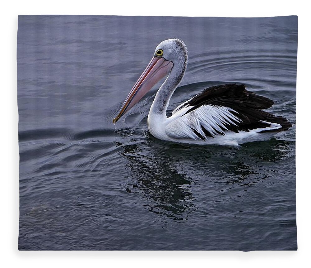 Wildlife Fleece Blanket featuring the photograph Australian Pelican by Martin Smith