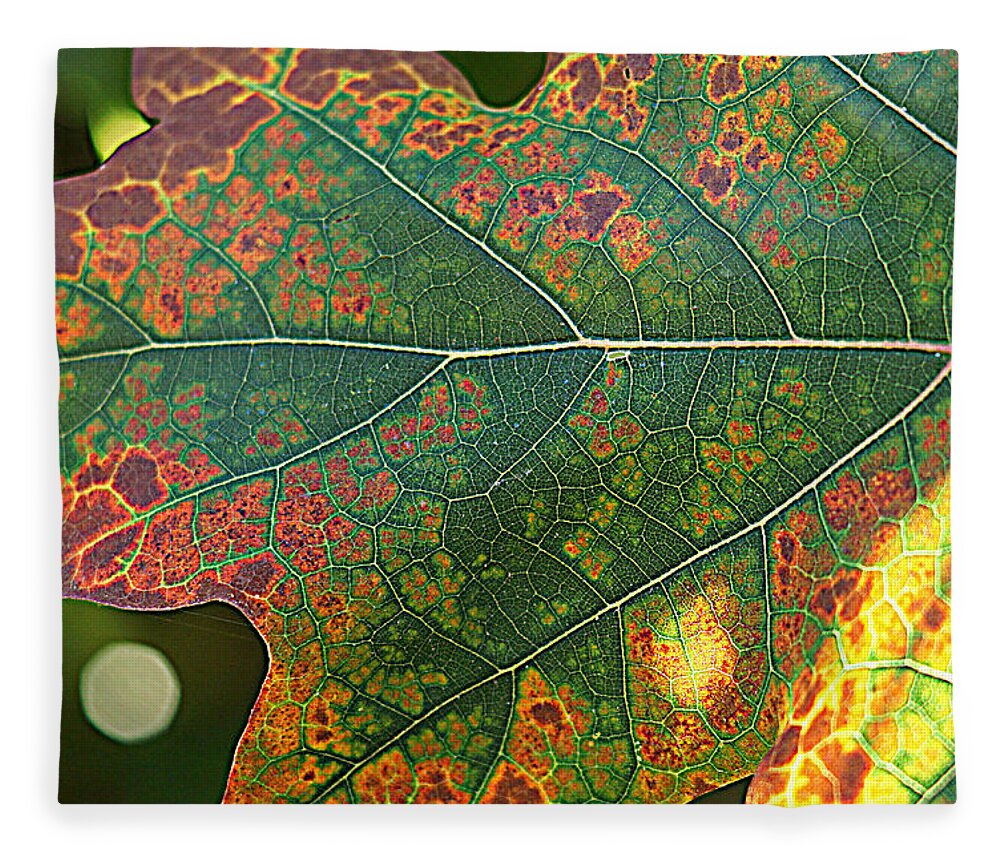 Leaves Fleece Blanket featuring the photograph Autumn 2 by Jolly Van der Velden