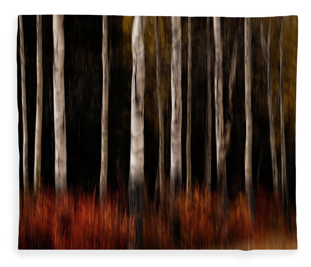 Trees Fleece Blanket featuring the photograph Autumn Abstract by Catherine Reading