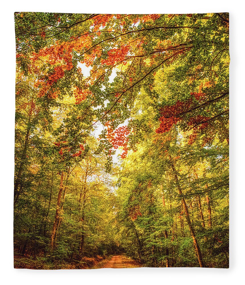 Autumn Fleece Blanket featuring the photograph Autumn Colorful Path by Philippe Sainte-Laudy