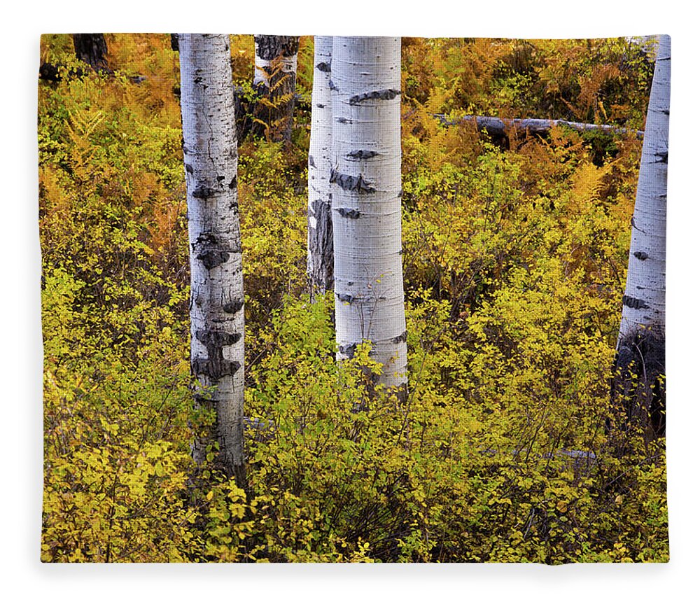 America Fleece Blanket featuring the photograph Autumn Contrasts by John De Bord