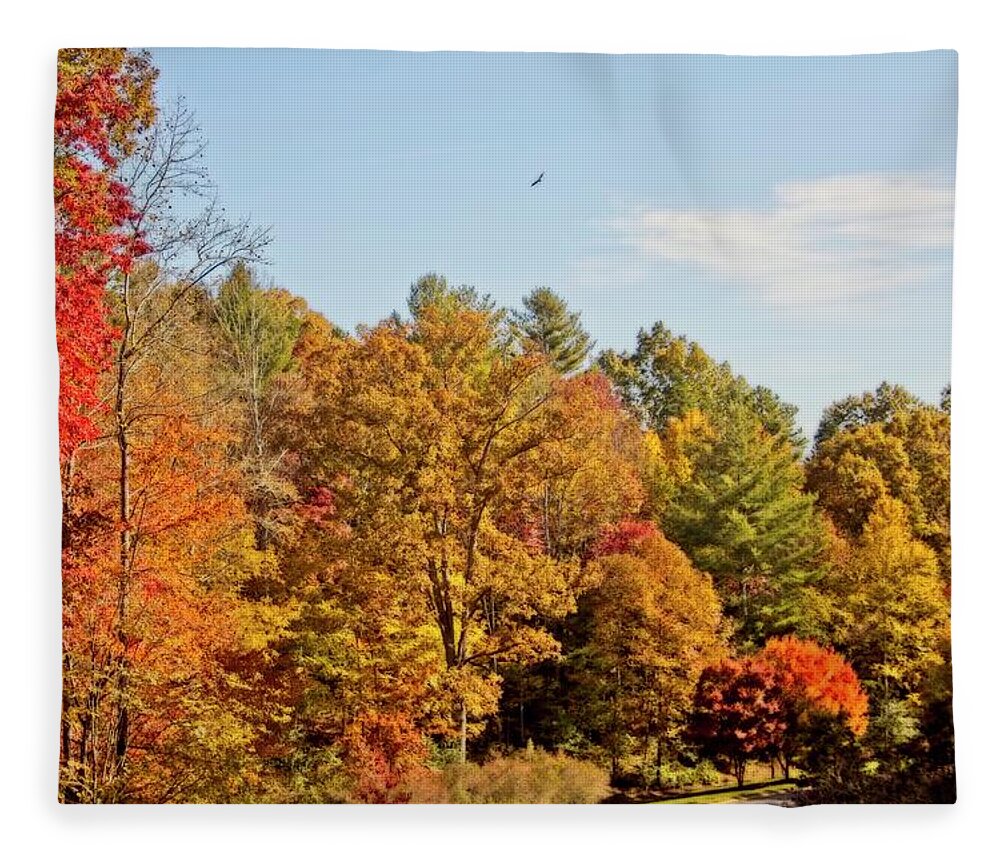 Autumn Fleece Blanket featuring the photograph Autumn Glow by Allen Nice-Webb