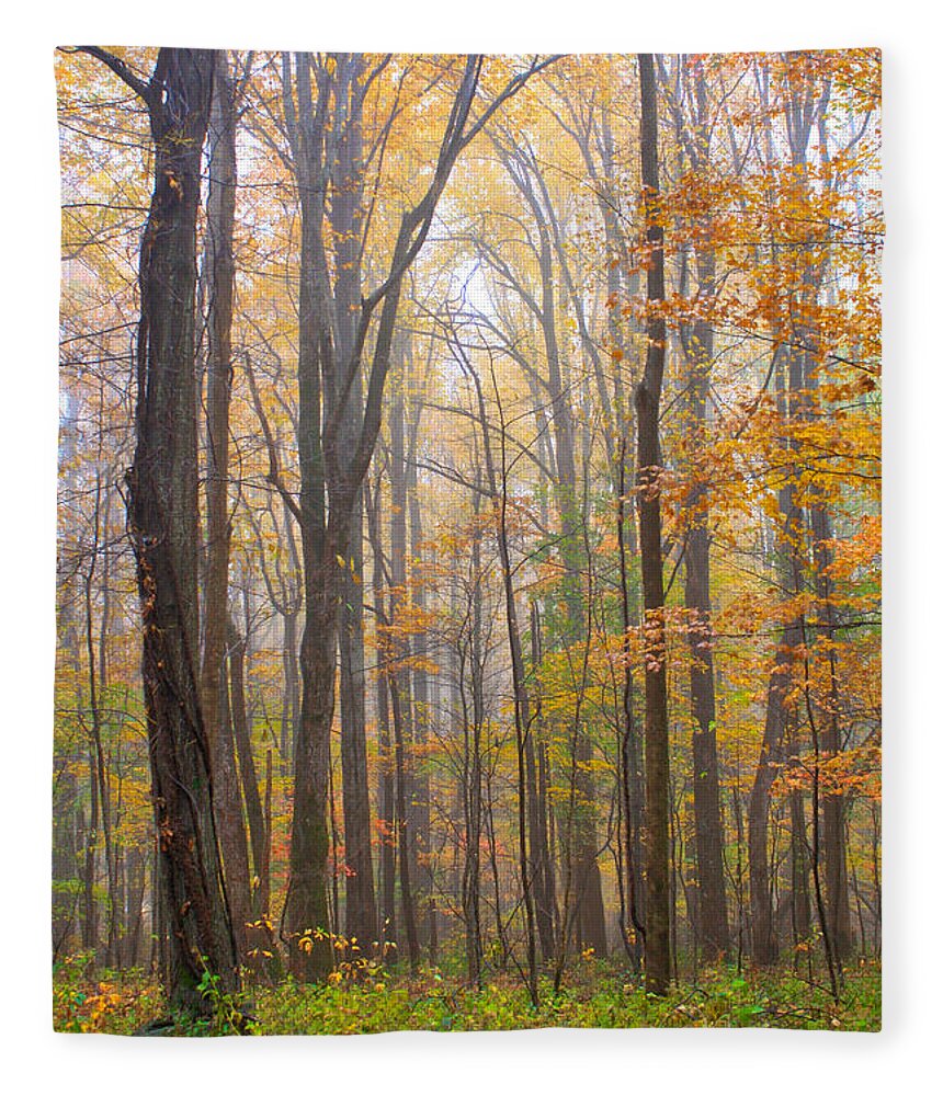 Art Prints Fleece Blanket featuring the photograph Autumn in the Smoky Mountains by Nunweiler Photography