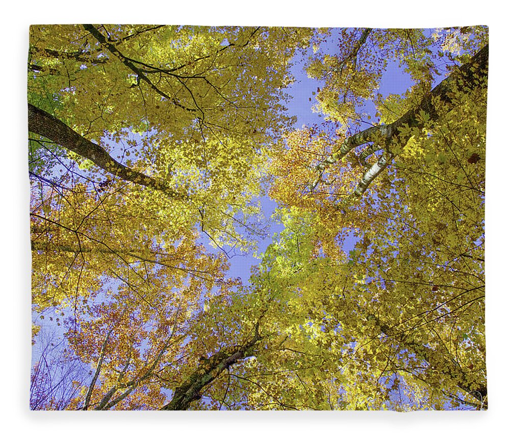Art Prints Fleece Blanket featuring the photograph Autumn Leaves by Nunweiler Photography