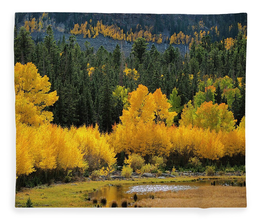 Tranquility Fleece Blanket featuring the photograph Autumn On Boulder Mt. Utah by Bradley L. Cox