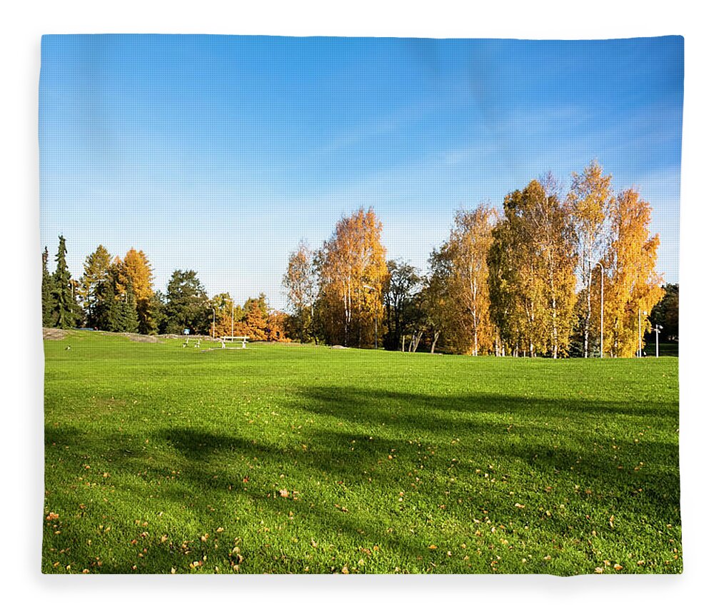 Environmental Conservation Fleece Blanket featuring the photograph Autumn Park by Chinaface