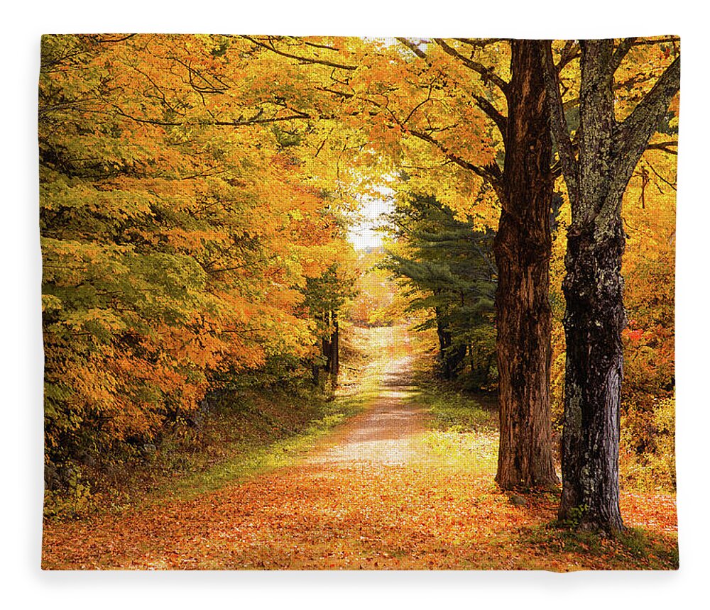 Lake Winnipesaukee Fleece Blanket featuring the photograph Autumn Path by Robert Clifford