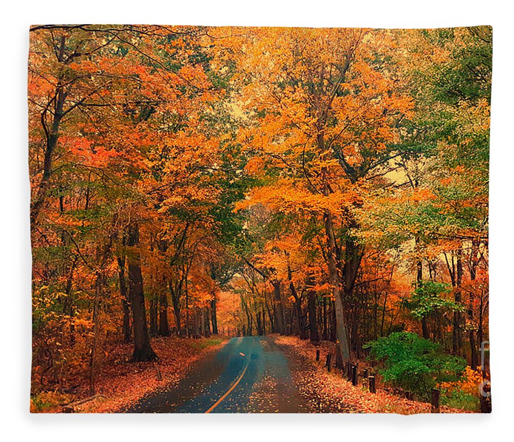 Foliage Fleece Blanket featuring the photograph Autumn Rain by Dani McEvoy