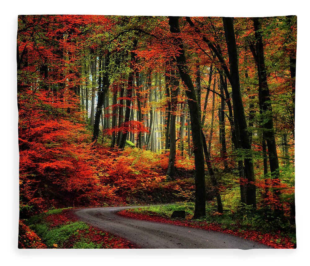 Autumn Fleece Blanket featuring the photograph Autumn Road by Philippe Sainte-Laudy