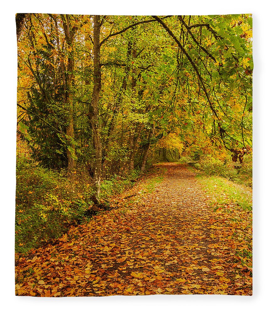 Nature Fleece Blanket featuring the photograph Autumn Walk by Bob Cournoyer