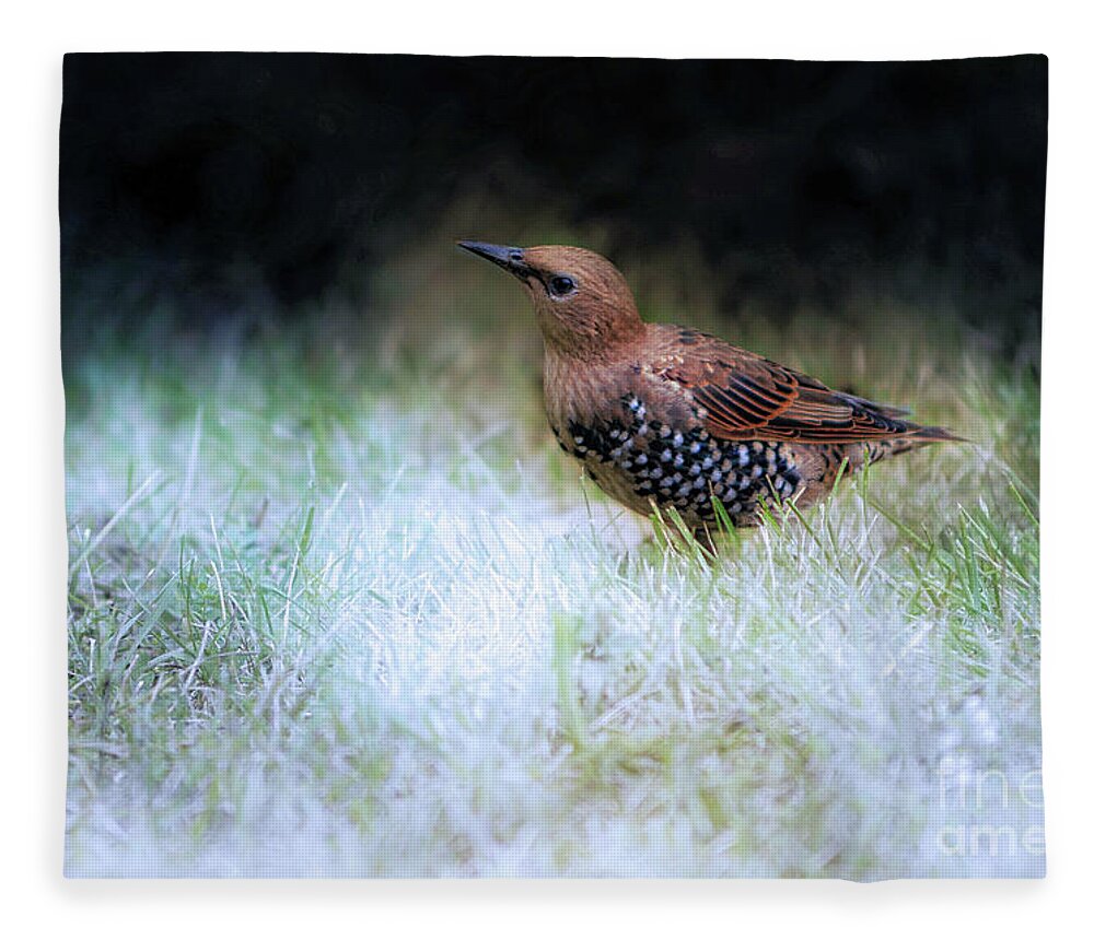 Bird Fleece Blanket featuring the photograph Baby Bird by Elaine Manley
