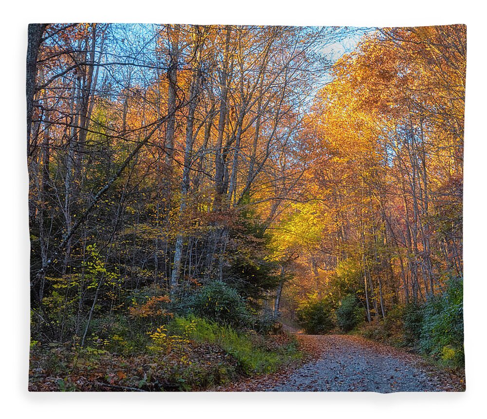 Back Road Beauty Fleece Blanket featuring the photograph Back Road Beauty by Russell Pugh