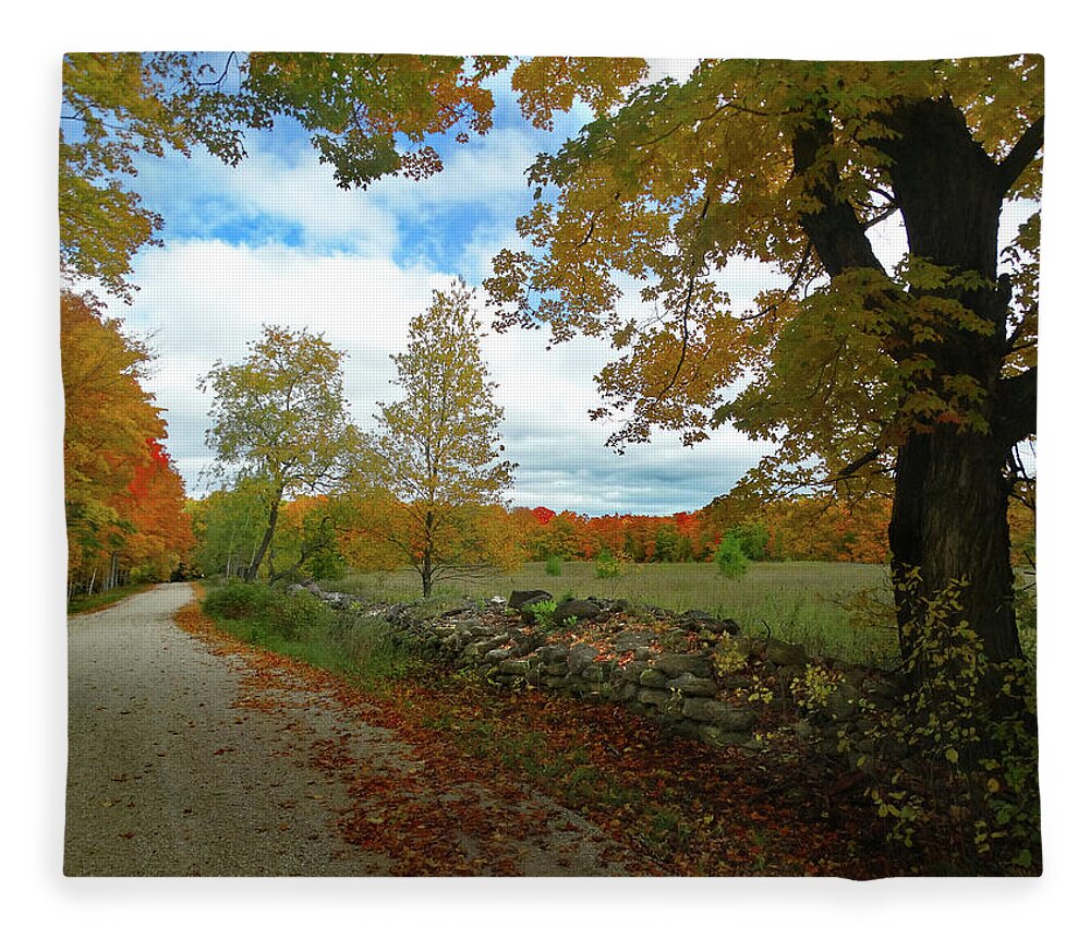 October Fleece Blanket featuring the photograph Back Road Fall Colors by David T Wilkinson